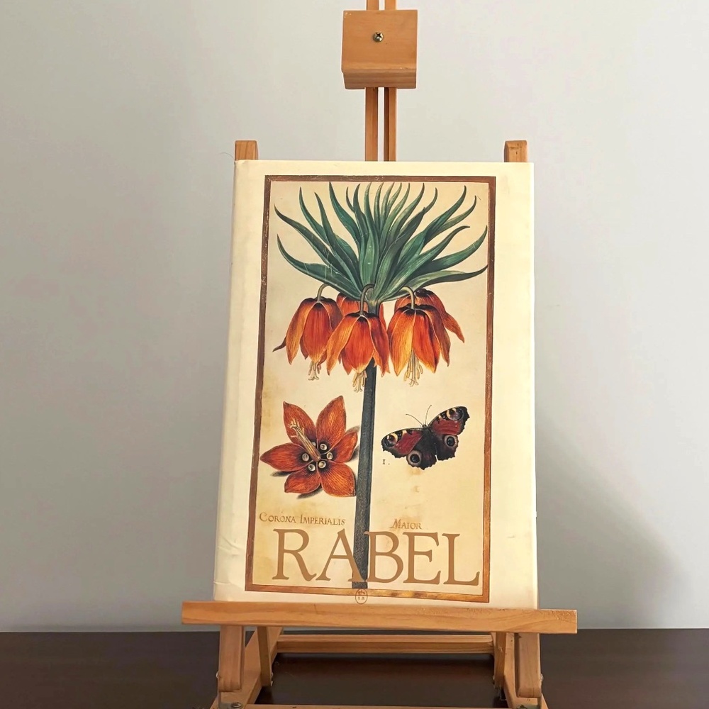 Daniel Rabel Cent Fleurs Et Incentes, (Hardcover, 1991, Editions ANTHESE) in Fre